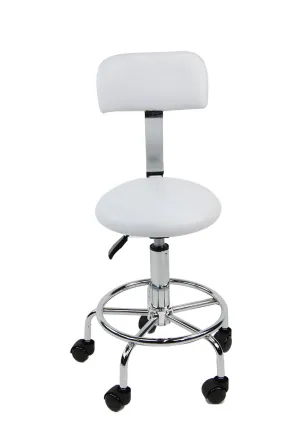 Beauty Salon Stool w/ Backrest