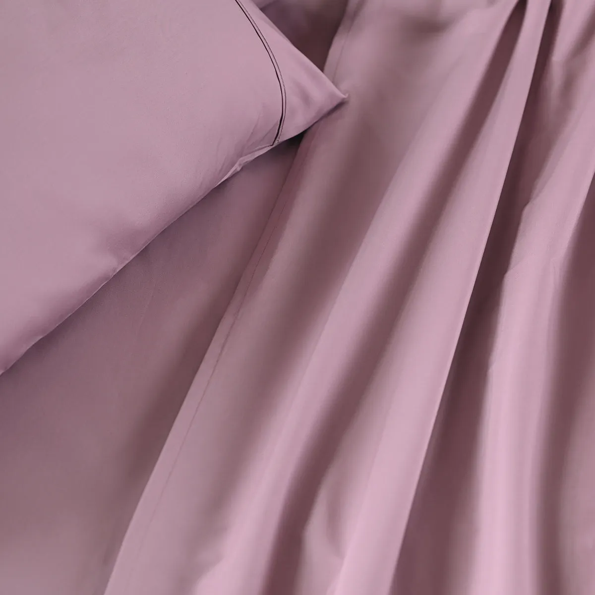 Eden Crisp & Light Weight 100% Cotton Solid Purple Bed Sheet