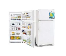 Frigidaire MRTW23V7PW Top Mount Refrigerators 220V