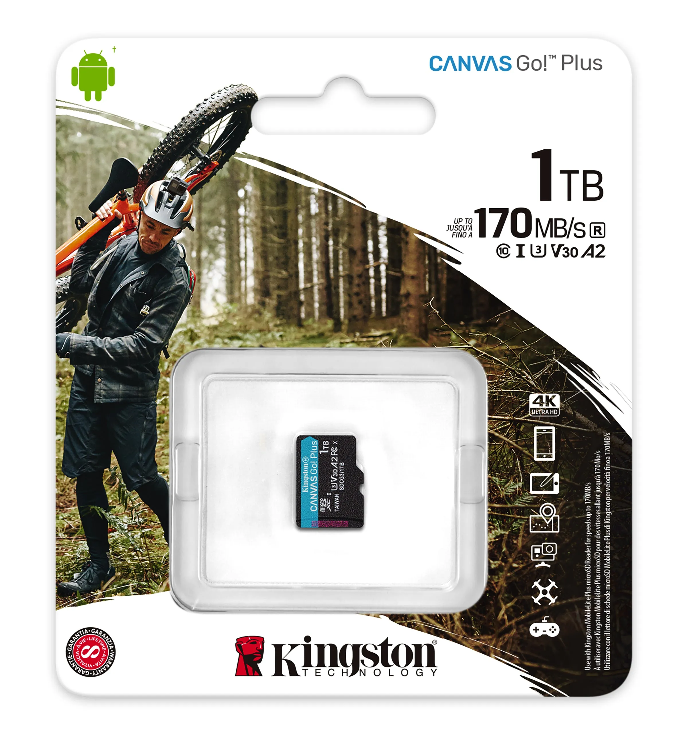 Kingston Flash-Card Canvas Go Plus - Sdxc Uhs-I - 1 Tb